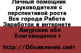 Личный помощник руководителя с перспективой роста - Все города Работа » Заработок в интернете   . Амурская обл.,Благовещенск г.